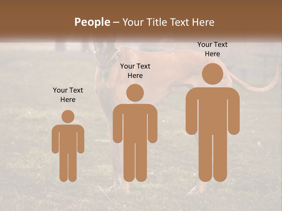 A Large Brown Dog Standing In The Grass PowerPoint Template