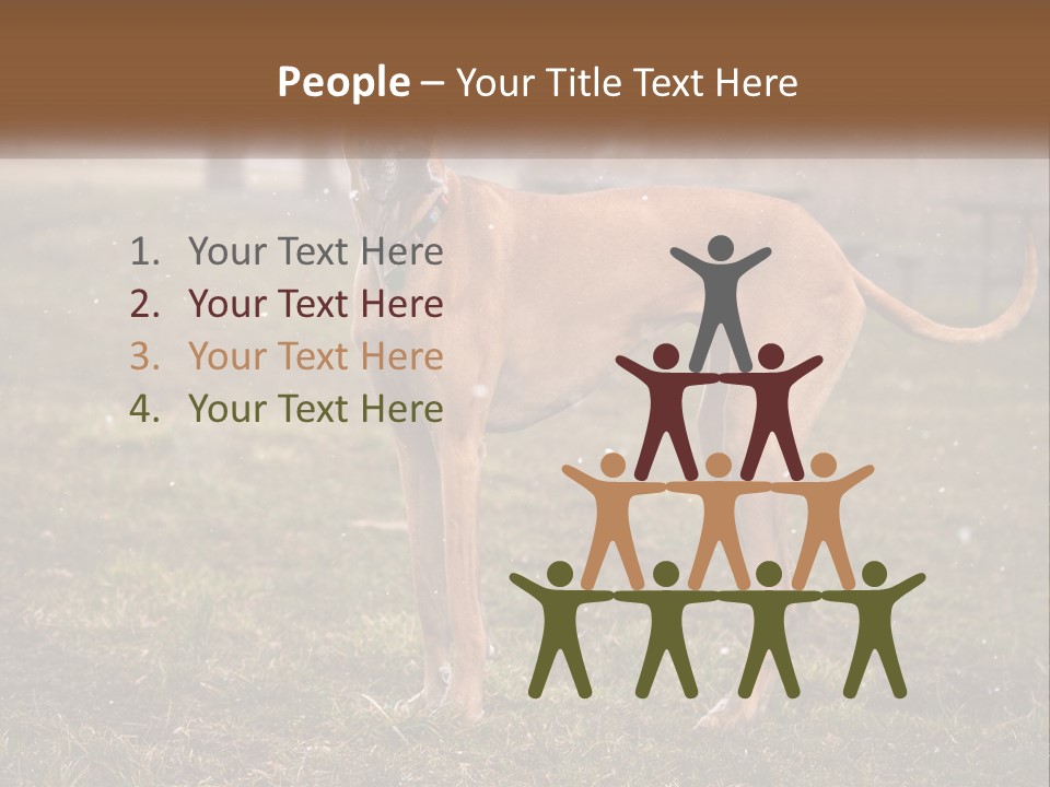 A Large Brown Dog Standing In The Grass PowerPoint Template