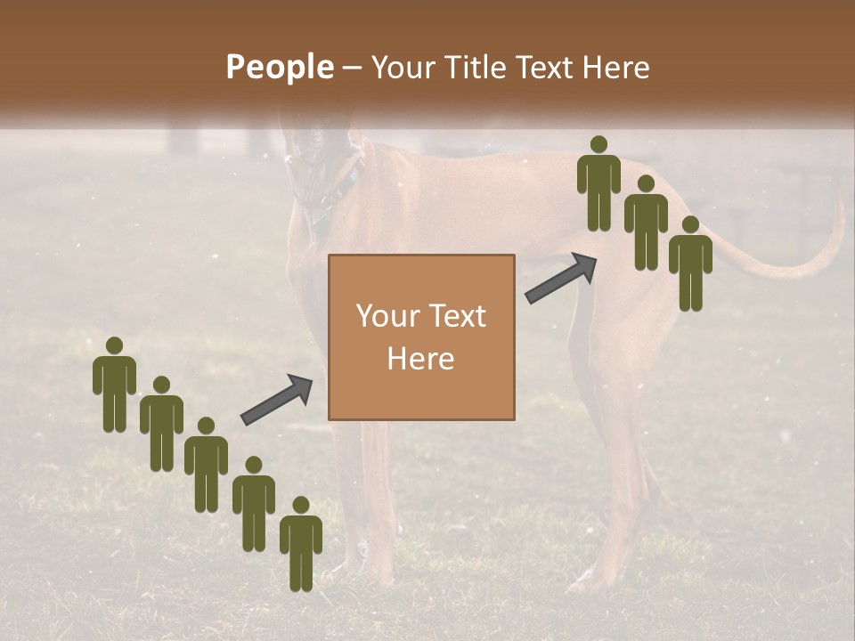 A Large Brown Dog Standing In The Grass PowerPoint Template