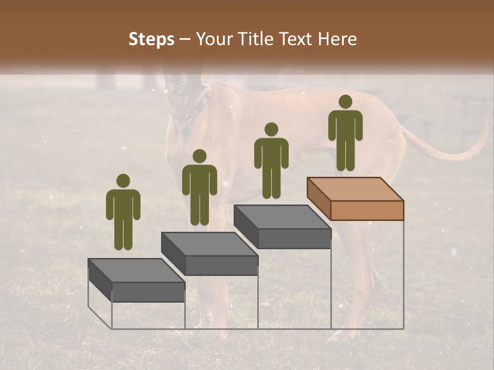 A Large Brown Dog Standing In The Grass PowerPoint Template