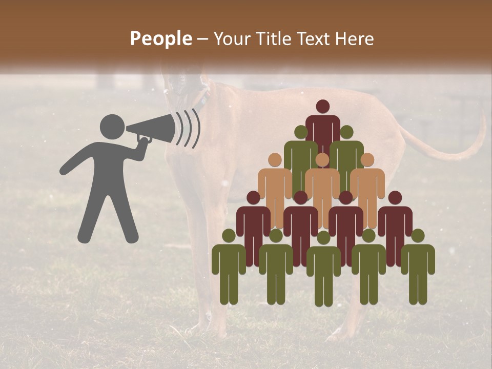 A Large Brown Dog Standing In The Grass PowerPoint Template