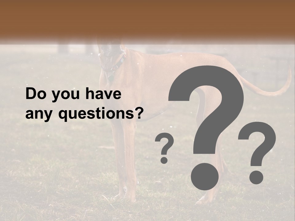 A Large Brown Dog Standing In The Grass PowerPoint Template