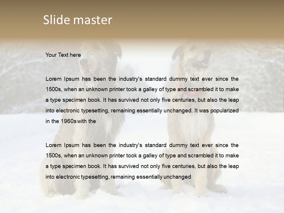 Two Dogs Sitting In The Snow With Trees In The Background PowerPoint Template