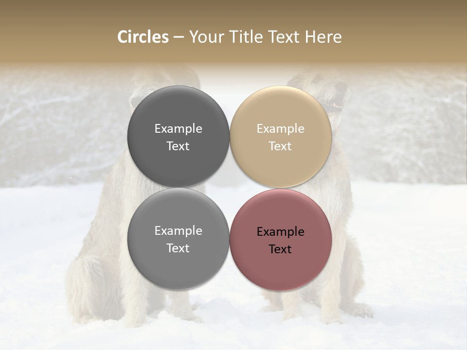 Two Dogs Sitting In The Snow With Trees In The Background PowerPoint Template