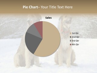 Two Dogs Sitting In The Snow With Trees In The Background PowerPoint Template