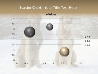 Two Dogs Sitting In The Snow With Trees In The Background PowerPoint Template
