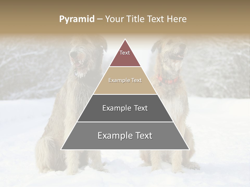 Two Dogs Sitting In The Snow With Trees In The Background PowerPoint Template