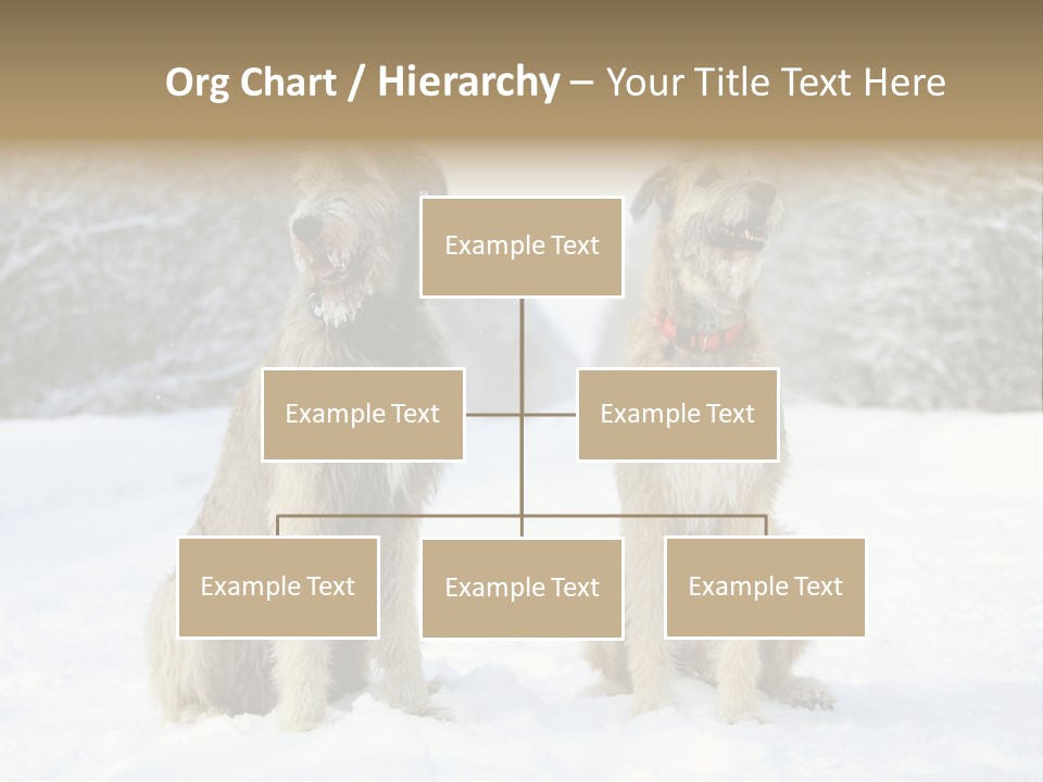 Two Dogs Sitting In The Snow With Trees In The Background PowerPoint Template