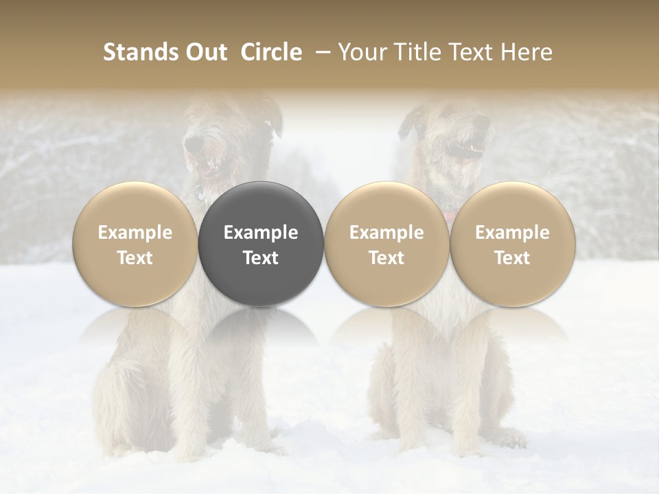 Two Dogs Sitting In The Snow With Trees In The Background PowerPoint Template