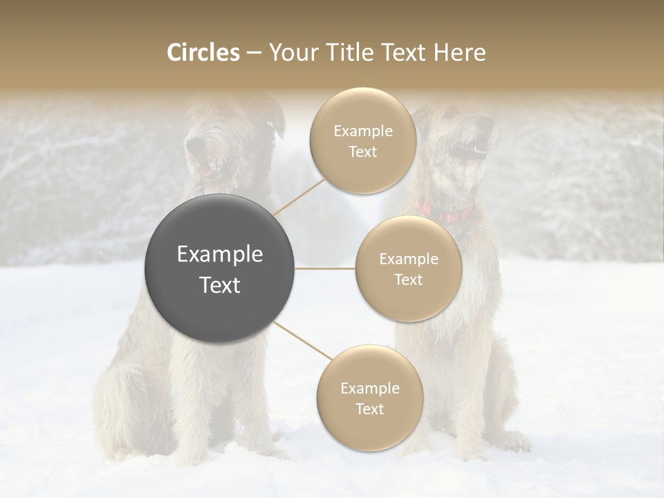 Two Dogs Sitting In The Snow With Trees In The Background PowerPoint Template