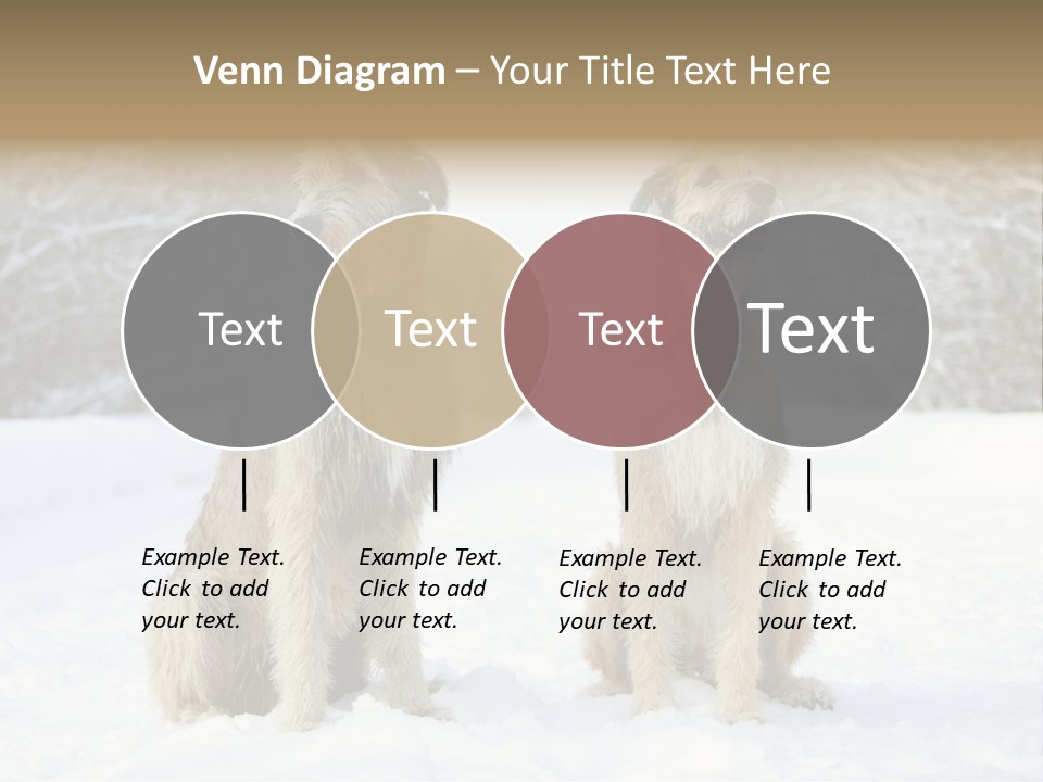 Two Dogs Sitting In The Snow With Trees In The Background PowerPoint Template