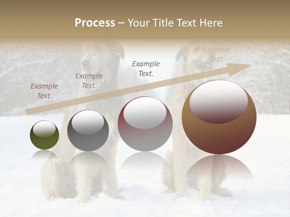 Two Dogs Sitting In The Snow With Trees In The Background PowerPoint Template