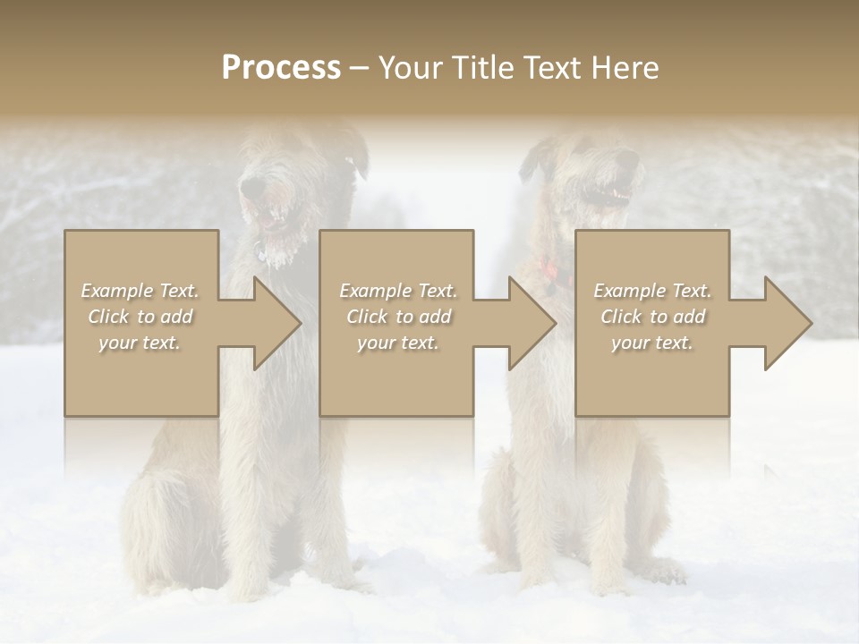 Two Dogs Sitting In The Snow With Trees In The Background PowerPoint Template