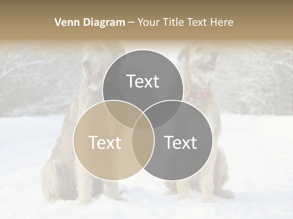 Two Dogs Sitting In The Snow With Trees In The Background PowerPoint Template