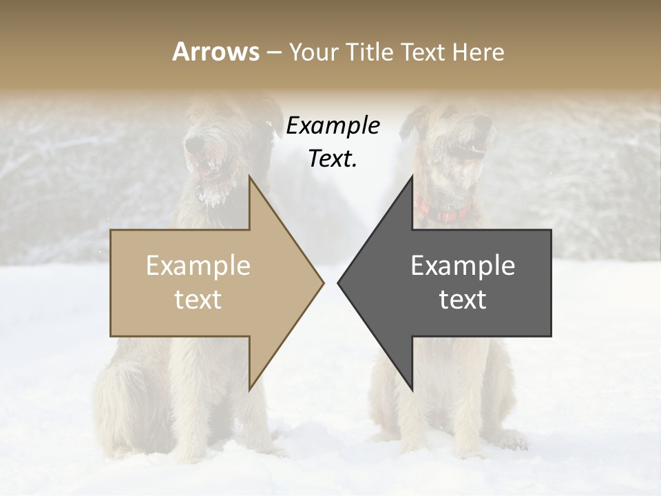 Two Dogs Sitting In The Snow With Trees In The Background PowerPoint Template