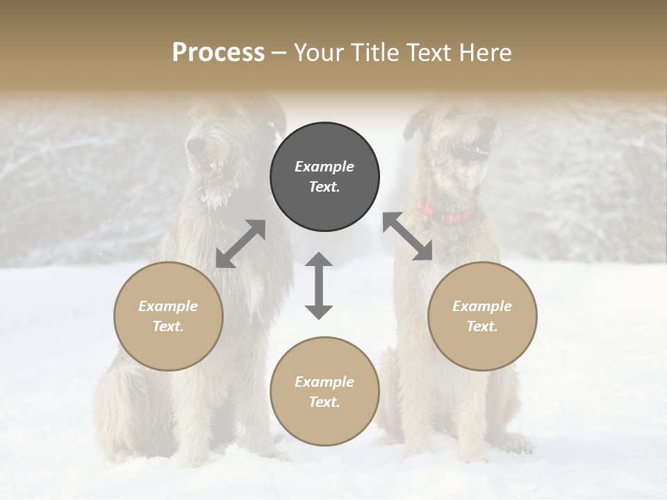 Two Dogs Sitting In The Snow With Trees In The Background PowerPoint Template