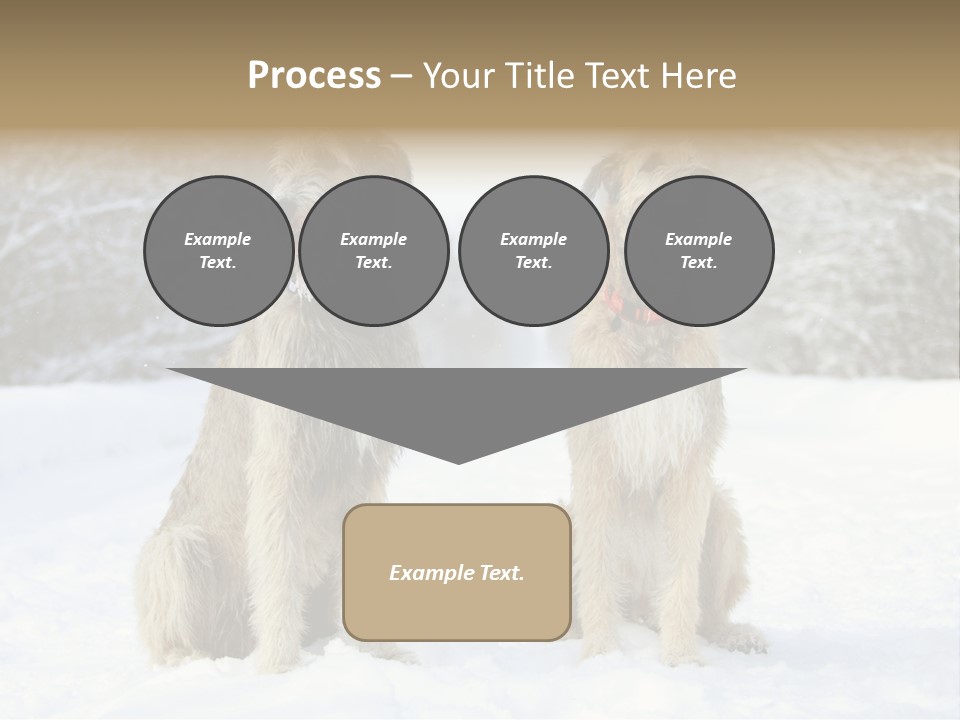 Two Dogs Sitting In The Snow With Trees In The Background PowerPoint Template