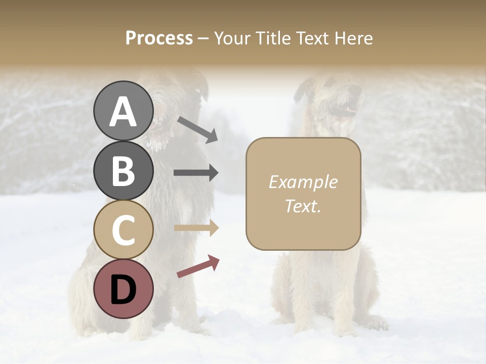 Two Dogs Sitting In The Snow With Trees In The Background PowerPoint Template