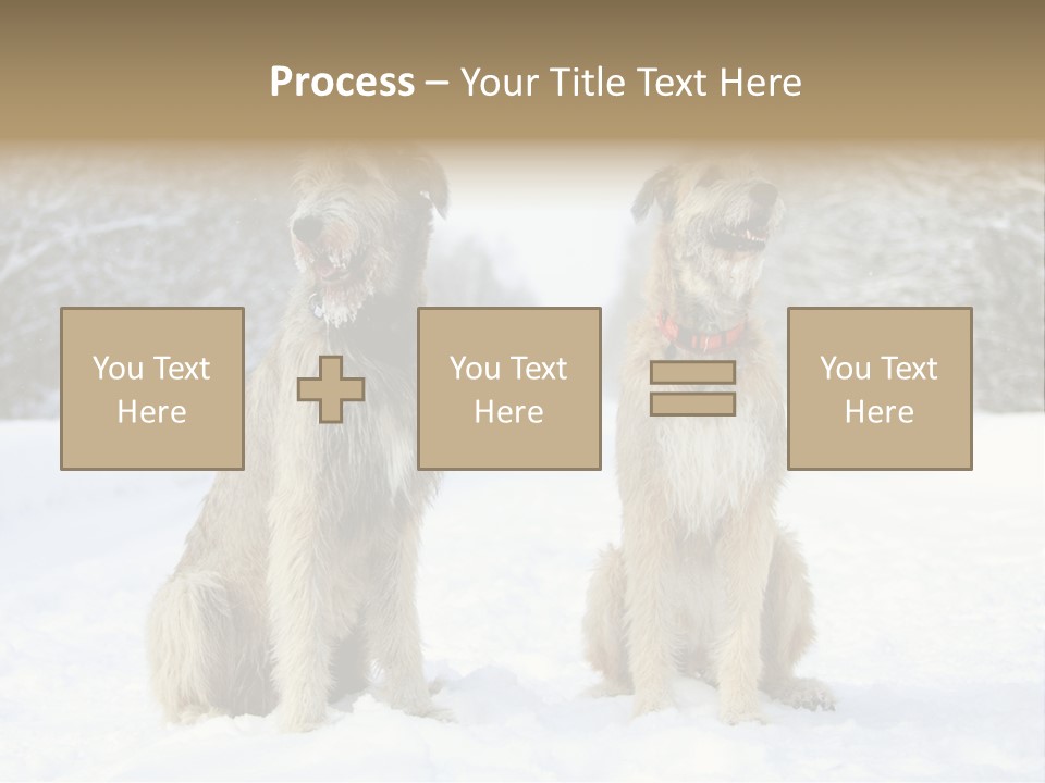 Two Dogs Sitting In The Snow With Trees In The Background PowerPoint Template