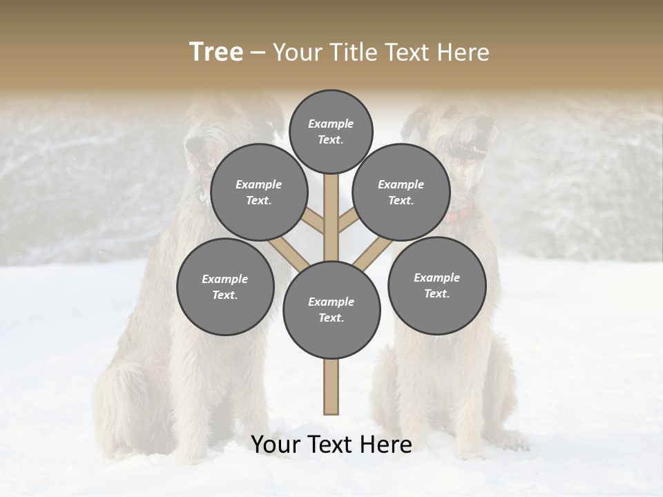 Two Dogs Sitting In The Snow With Trees In The Background PowerPoint Template