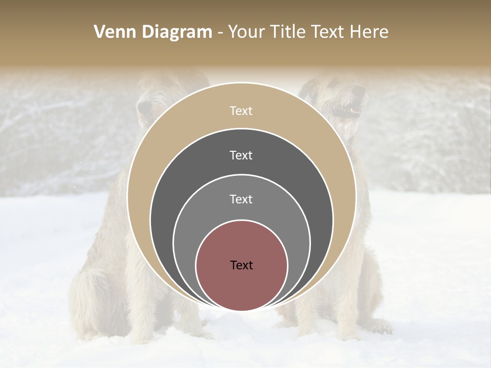Two Dogs Sitting In The Snow With Trees In The Background PowerPoint Template