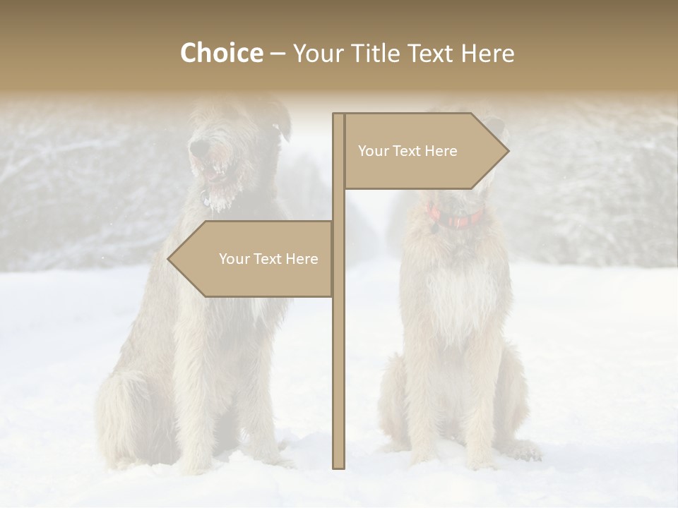 Two Dogs Sitting In The Snow With Trees In The Background PowerPoint Template