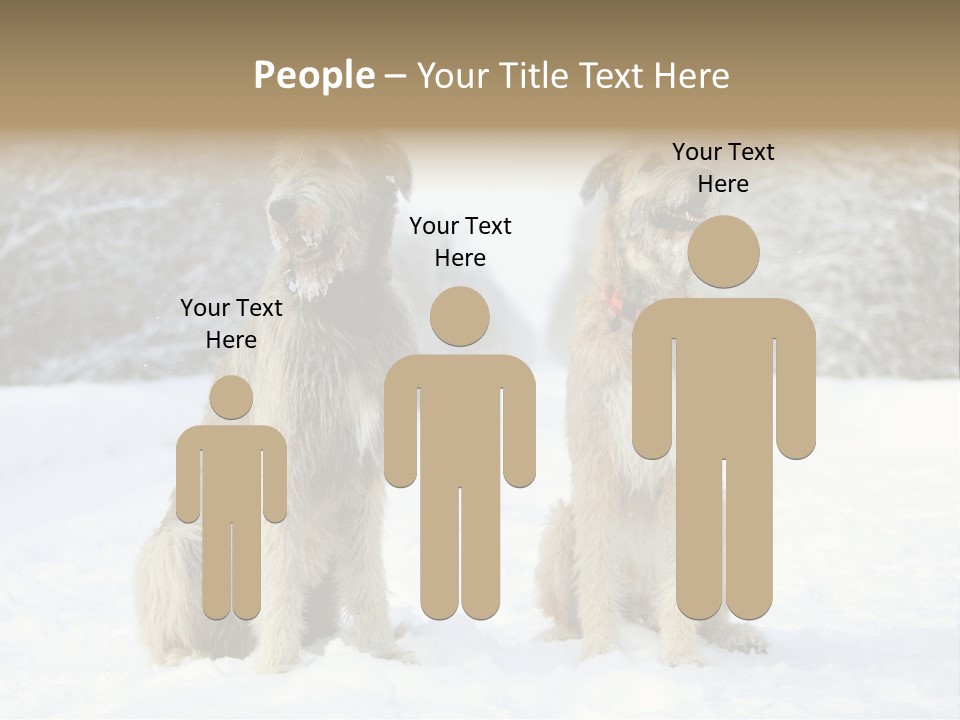 Two Dogs Sitting In The Snow With Trees In The Background PowerPoint Template