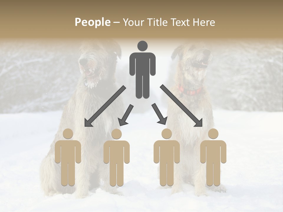 Two Dogs Sitting In The Snow With Trees In The Background PowerPoint Template