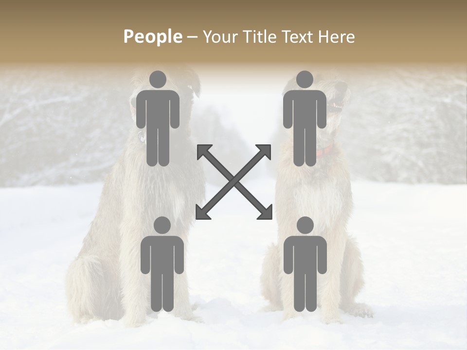 Two Dogs Sitting In The Snow With Trees In The Background PowerPoint Template