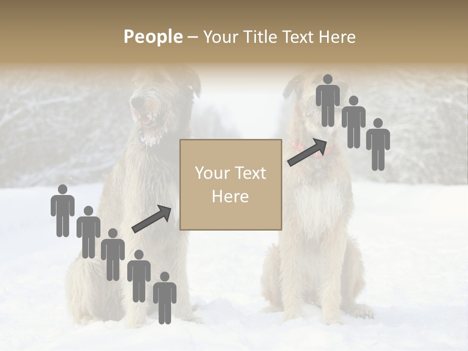 Two Dogs Sitting In The Snow With Trees In The Background PowerPoint Template