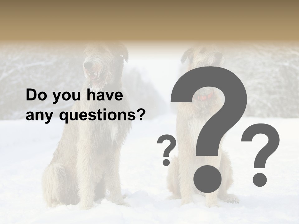 Two Dogs Sitting In The Snow With Trees In The Background PowerPoint Template