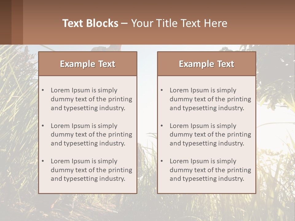 A Couple Of People Walking Through A Lush Green Field PowerPoint Template
