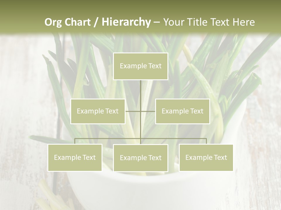 A White Bowl Filled With Green Plants On Top Of A Wooden Table PowerPoint Template