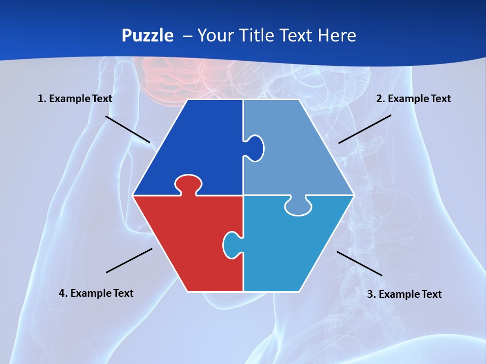 A Human Head With The Brain Highlighted In Red PowerPoint Template