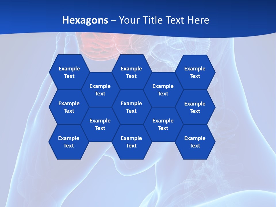 A Human Head With The Brain Highlighted In Red PowerPoint Template
