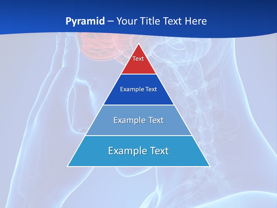 A Human Head With The Brain Highlighted In Red PowerPoint Template