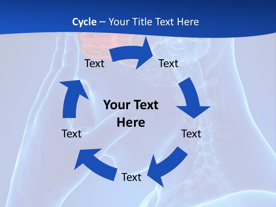 A Human Head With The Brain Highlighted In Red PowerPoint Template