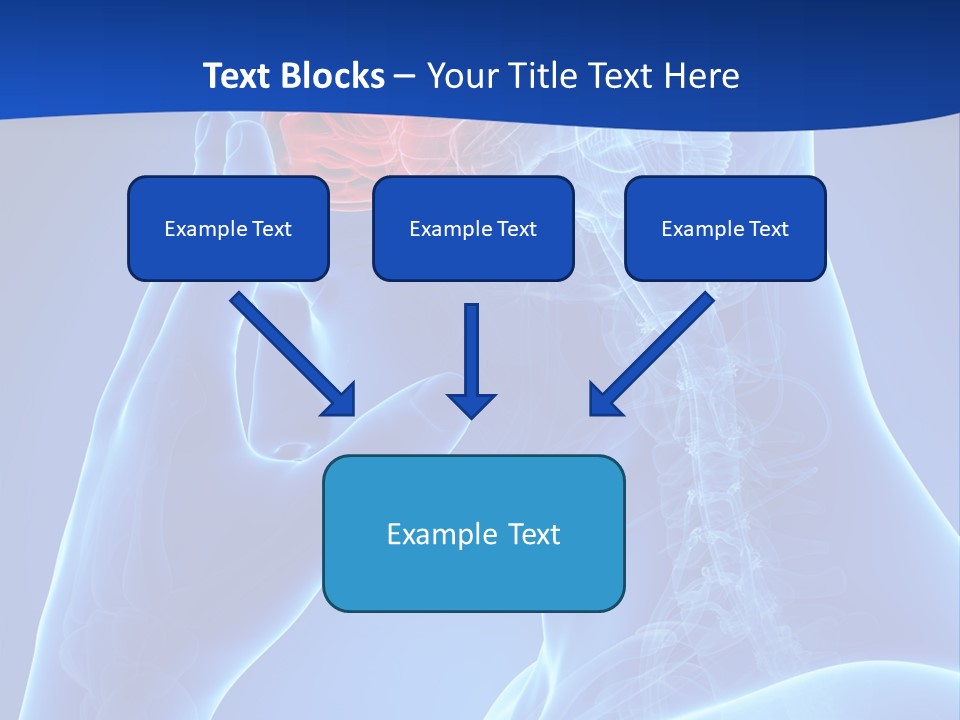 A Human Head With The Brain Highlighted In Red PowerPoint Template