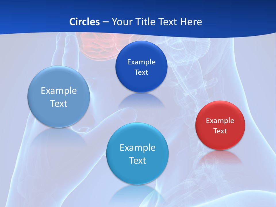 A Human Head With The Brain Highlighted In Red PowerPoint Template