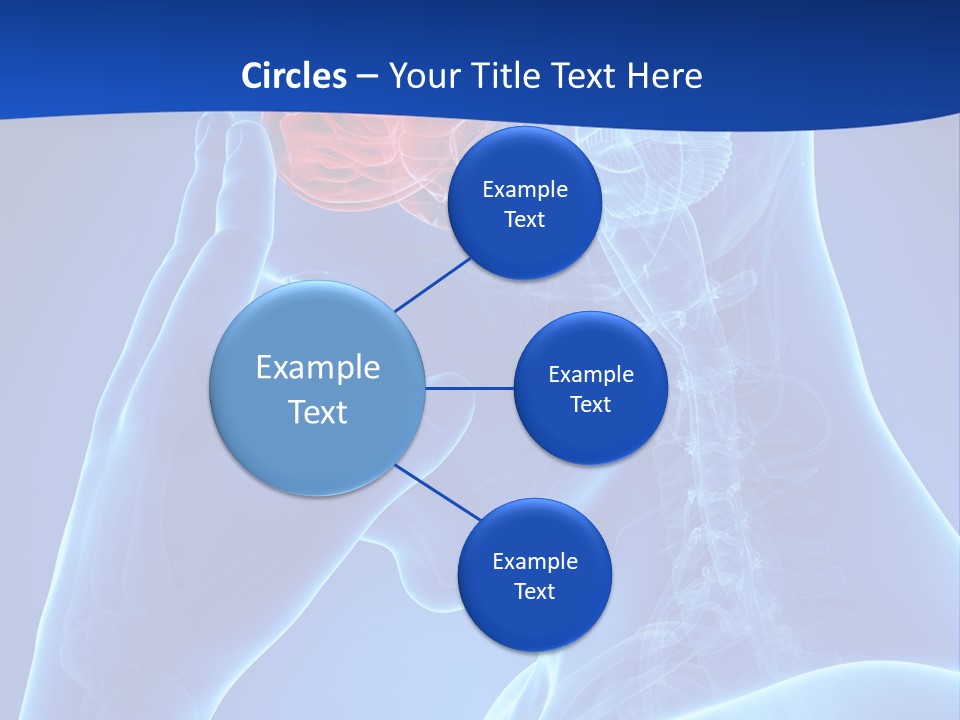 A Human Head With The Brain Highlighted In Red PowerPoint Template