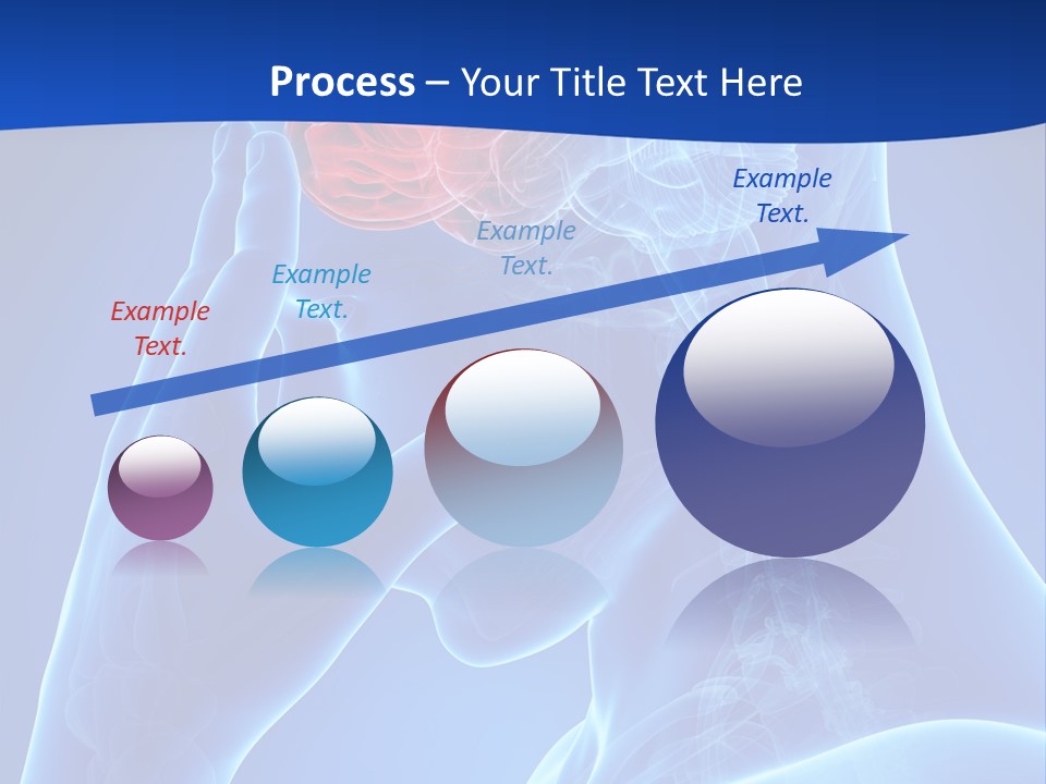 A Human Head With The Brain Highlighted In Red PowerPoint Template