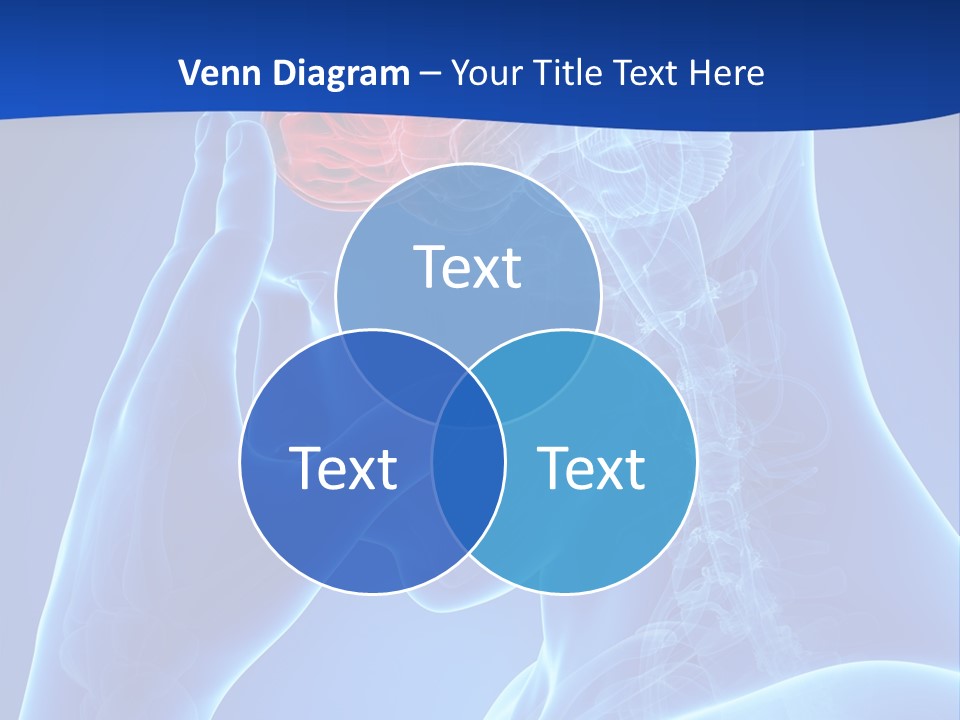 A Human Head With The Brain Highlighted In Red PowerPoint Template