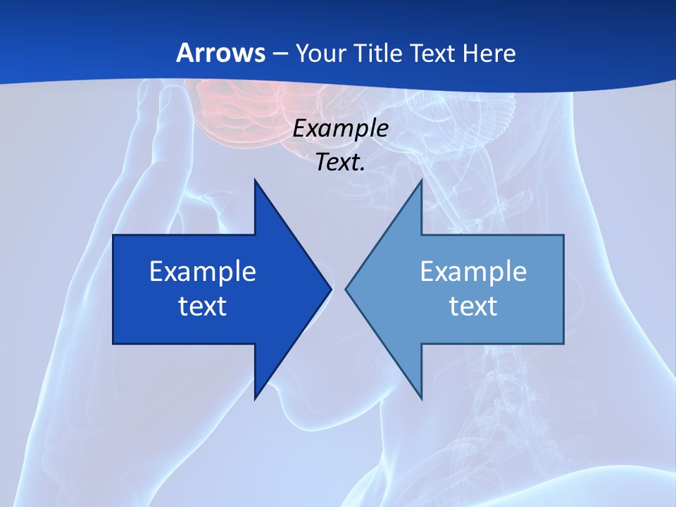 A Human Head With The Brain Highlighted In Red PowerPoint Template