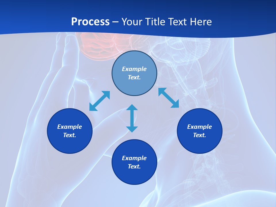 A Human Head With The Brain Highlighted In Red PowerPoint Template