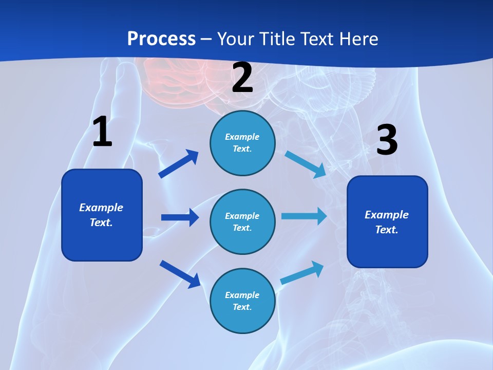 A Human Head With The Brain Highlighted In Red PowerPoint Template