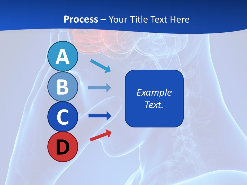 A Human Head With The Brain Highlighted In Red PowerPoint Template