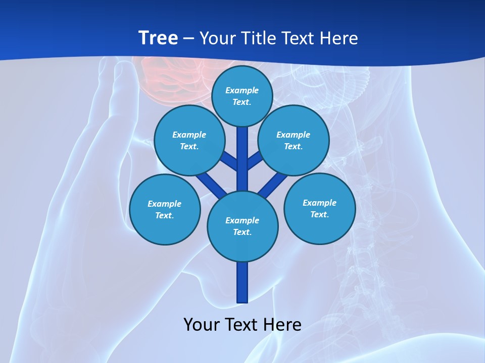 A Human Head With The Brain Highlighted In Red PowerPoint Template