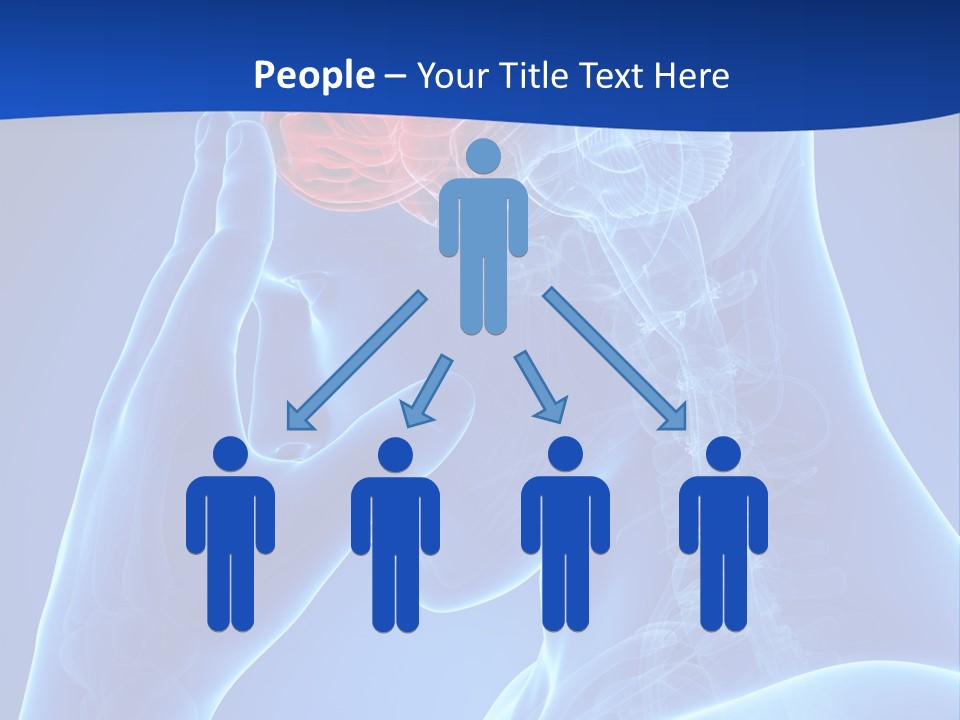 A Human Head With The Brain Highlighted In Red PowerPoint Template