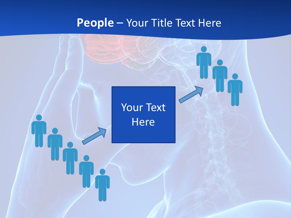 A Human Head With The Brain Highlighted In Red PowerPoint Template