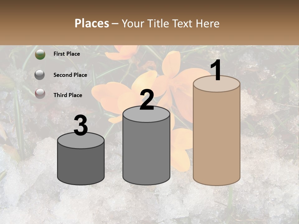 A Group Of Yellow Flowers Sitting On Top Of Snow Covered Ground PowerPoint Template